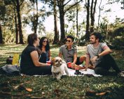 Friends with dog at a picnic in the park on a blanket, Platinum Resumes, Kansas City, MO