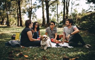 Friends with dog at a picnic in the park on a blanket, Platinum Resumes, Kansas City, MO